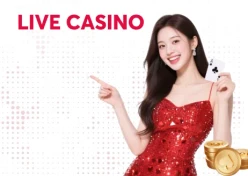 NET88 livecasino