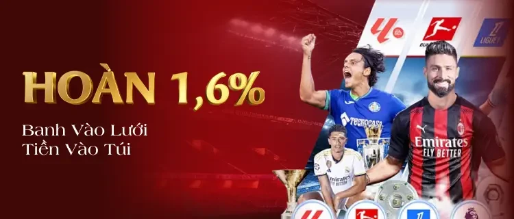 NET88 Hoàn Trả 1.6%